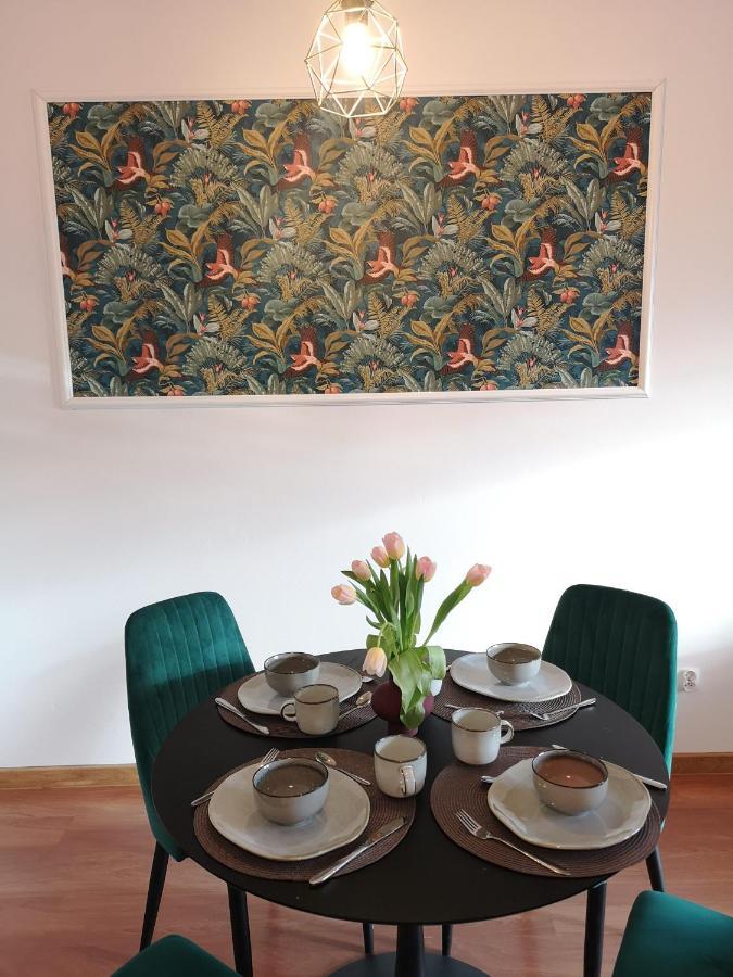 Apartament Reymonta Park Apartment Piotrkow Trybunalski Exterior photo